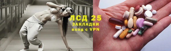 шишки Алзамай
